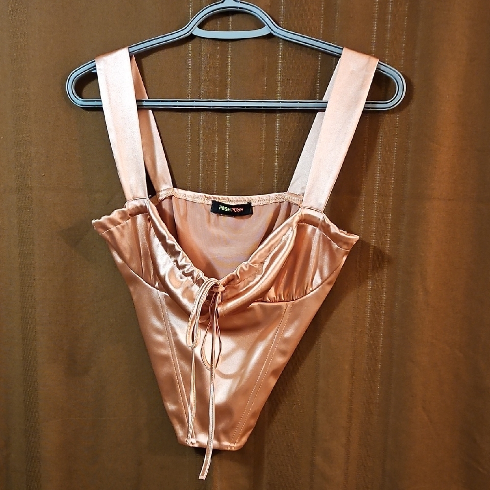 Satin Pink Bustier Corset Top